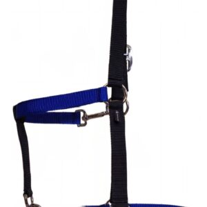 photostudio_1758996951558 Kantar Top-fodder - czarno niebieski